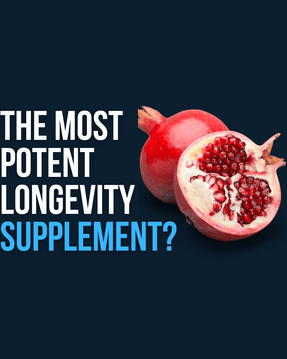 Longevity Supplement (1).png